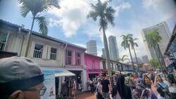 Kampong Glam Conservation Area (D7), Shop House #458160971